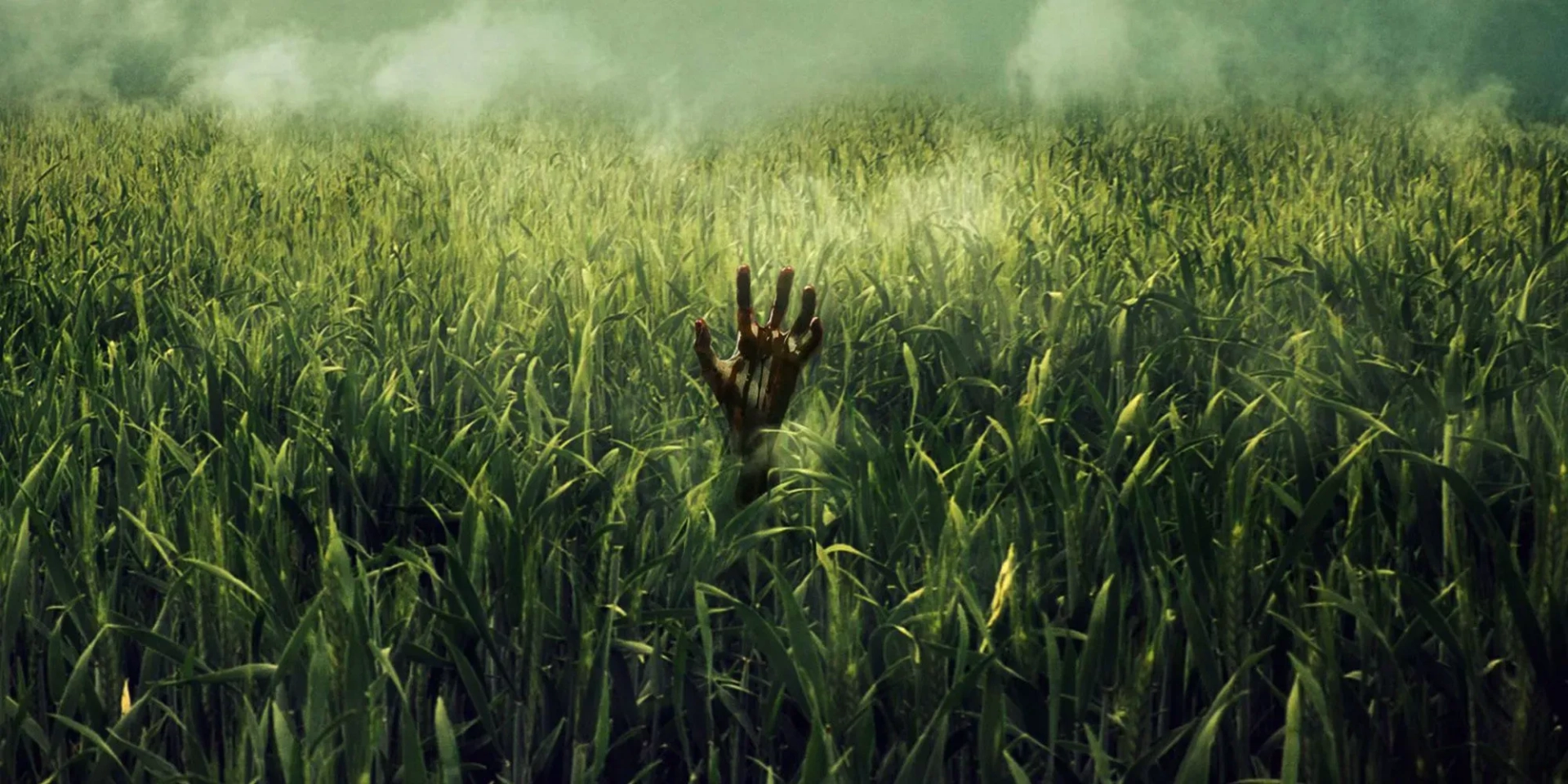 فیلم در چمنزار بلند (In the Tall Grass 2019)