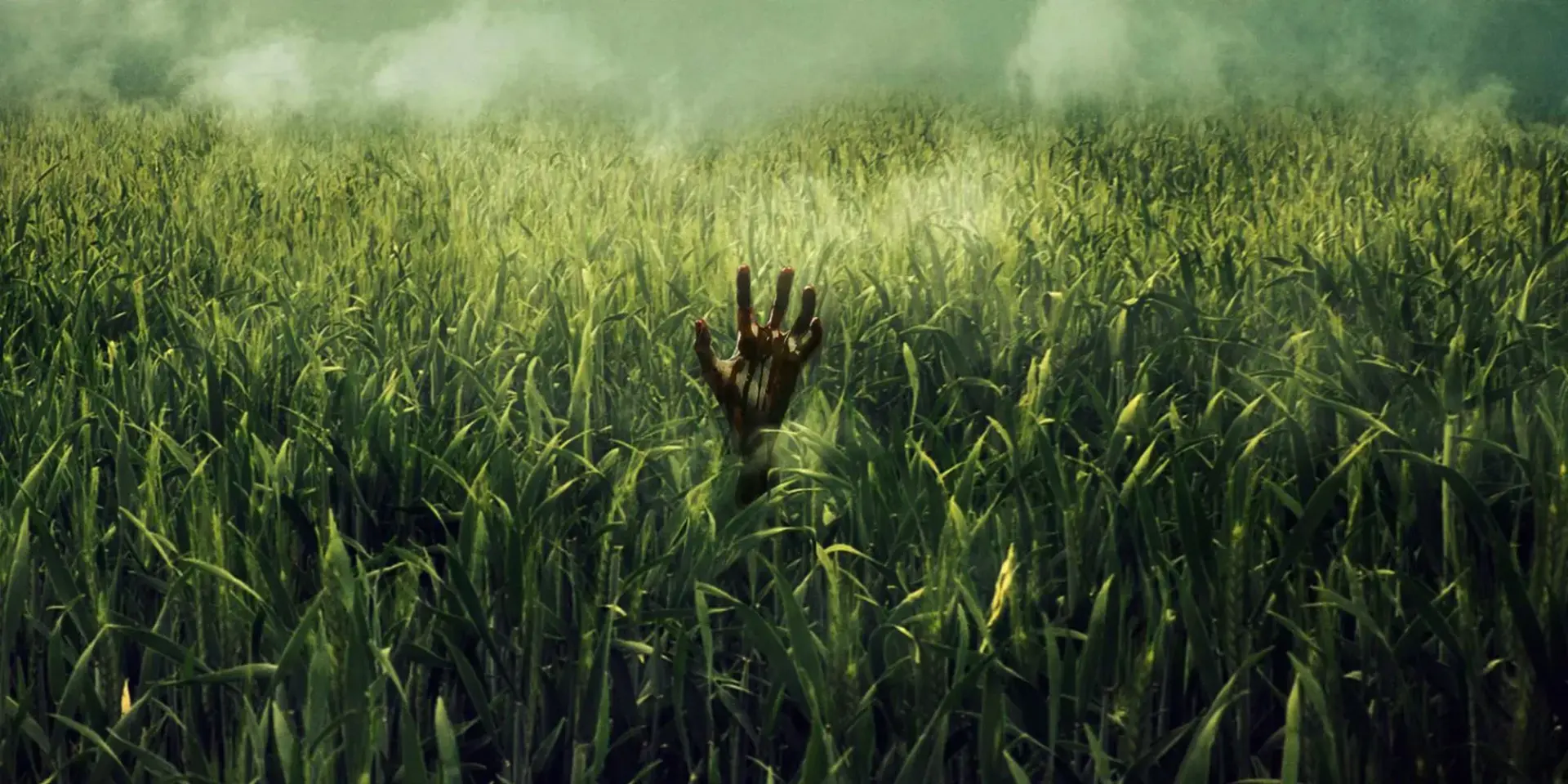 فیلم در چمنزار بلند (In the Tall Grass 2019)
