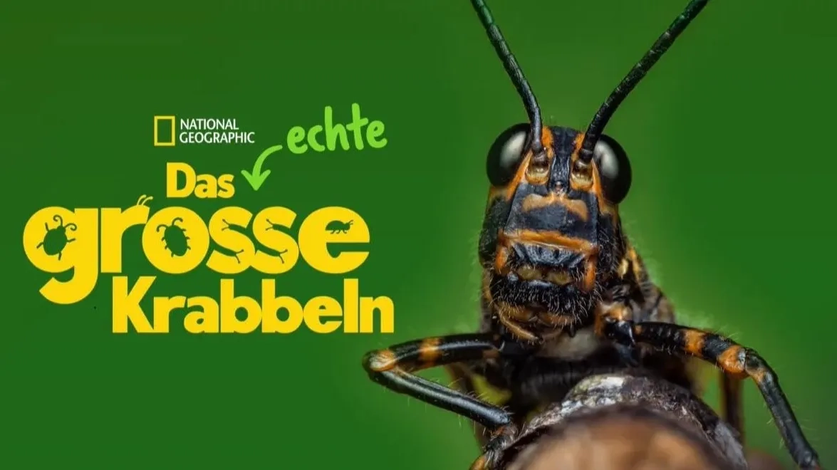 مستند زندگی واقعی یک حشره (A Real Bug's Life 2024)