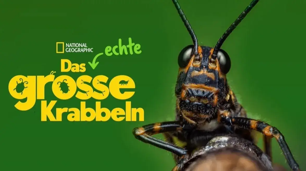 مستند زندگی واقعی یک حشره (A Real Bug's Life 2024)
