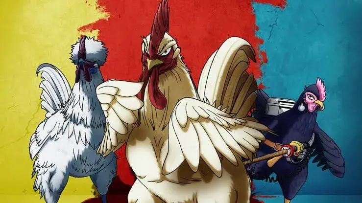 تریلر انیمه خروس جنگی | Rooster Fighter 2026