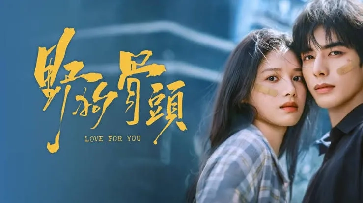 سریال‌ چینی عشق برای تو (Love for You 2026)