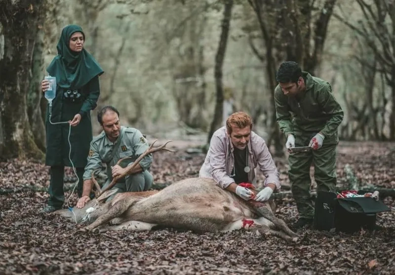 سریال خانواده دکتر ماهان (Dr. Mahan's Family 2019)
