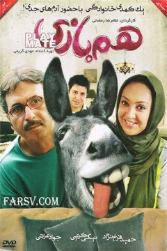 همبازی ۱۳۹۰