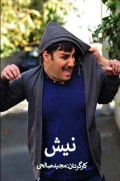 نیش ۱۳۹۱
