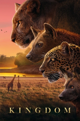 پادشاهی