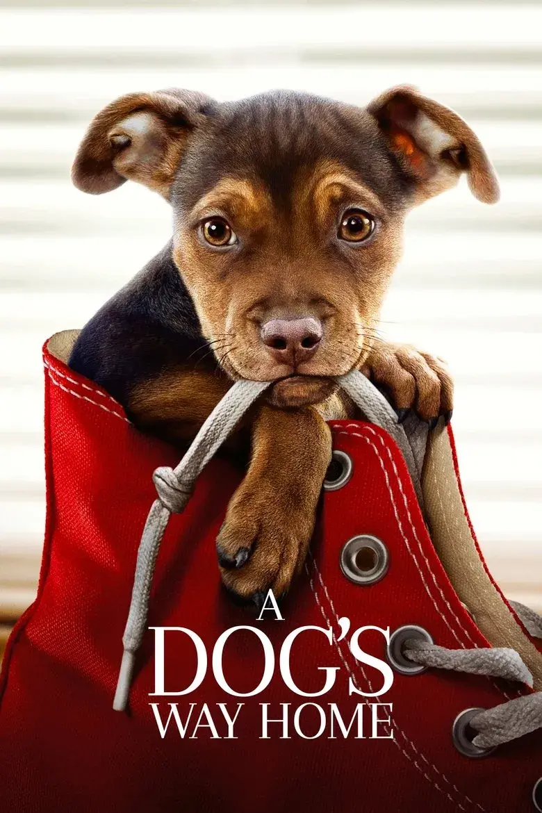 فیلم مسیر بازگشت یک سگ به خانه (A Dog's Way Home 2019)