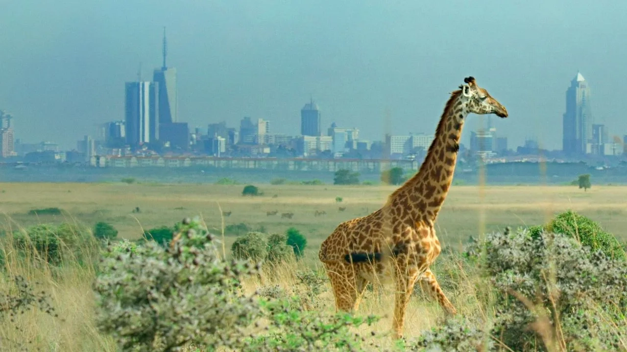 مستند عبور از مرزها: علم سیاره ما (Breaking Boundaries: The Science of Our Planet 2021)