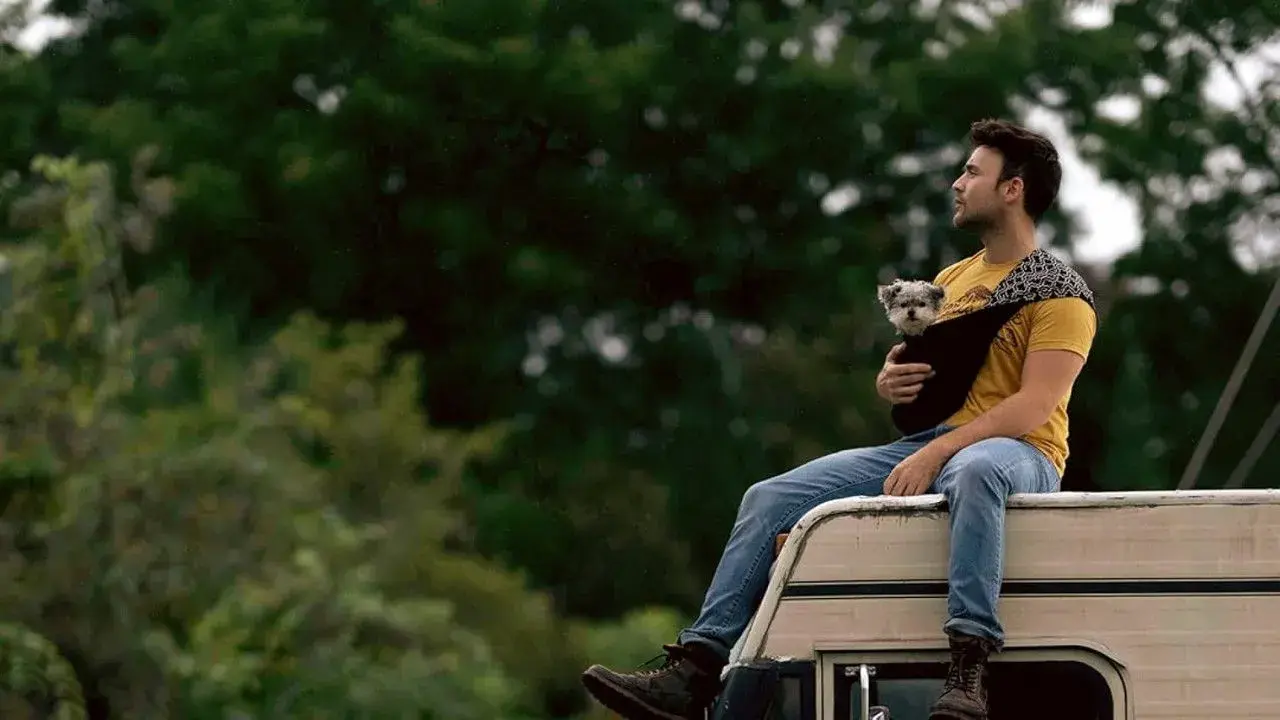 فیلم سگ ها در جاده (Dogs on the Sendero 2024)