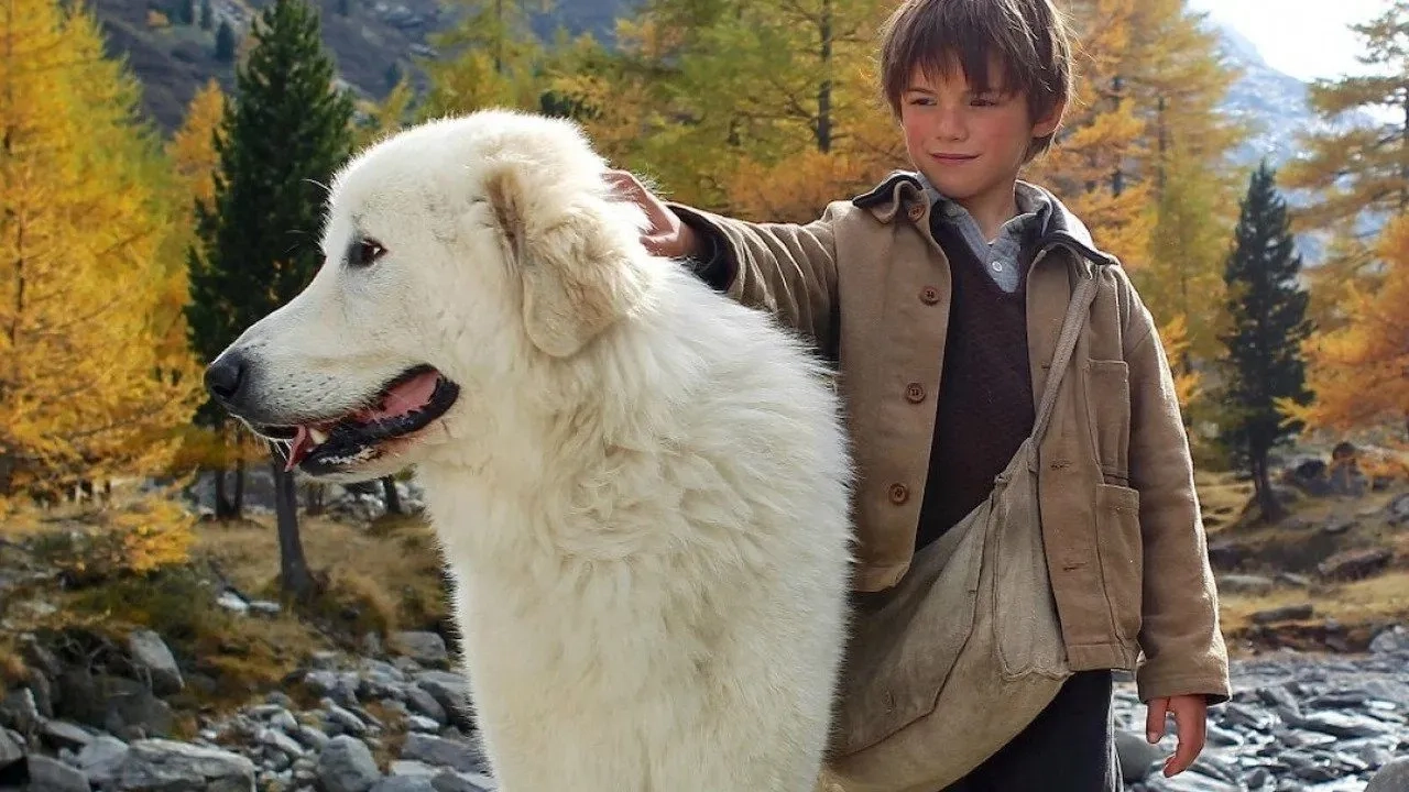 فیلم بل و سباستین (Belle and Sebastian 2013)