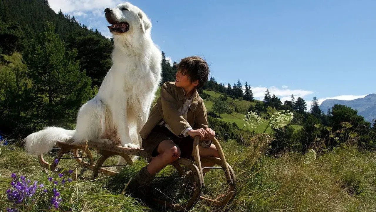 بل و سباستین: ماجراجویی ادامه دارد (Belle & Sebastian: The Adventure Continues 2015)