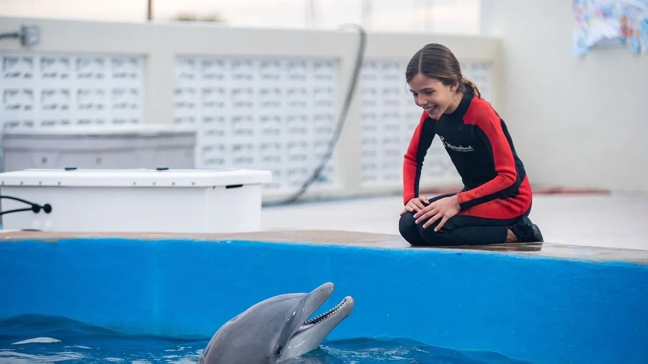 فیلم برنی دلفینه (Bernie the Dolphin 2019)