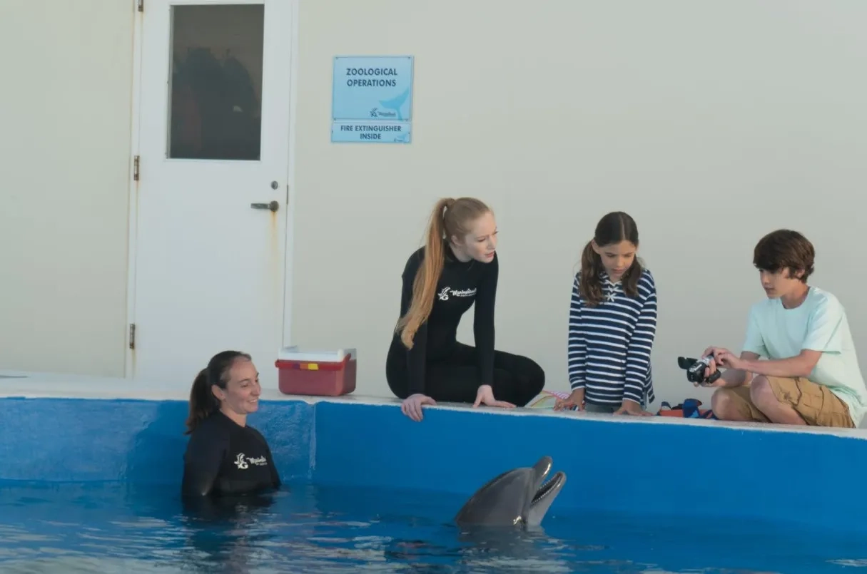 فیلم برنی دلفینه (Bernie the Dolphin 2018)