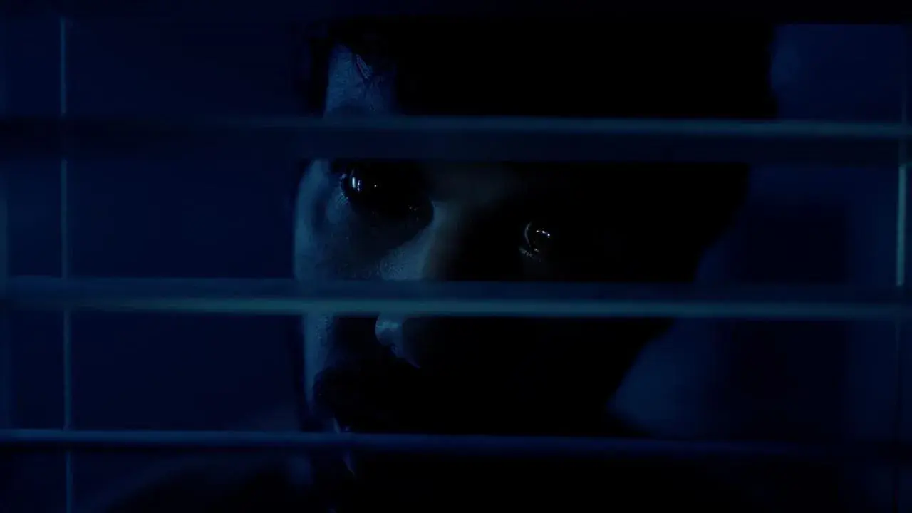 فیلم آیایی: روح خشمگین (Aiyai: Wrathful Soul 2020)