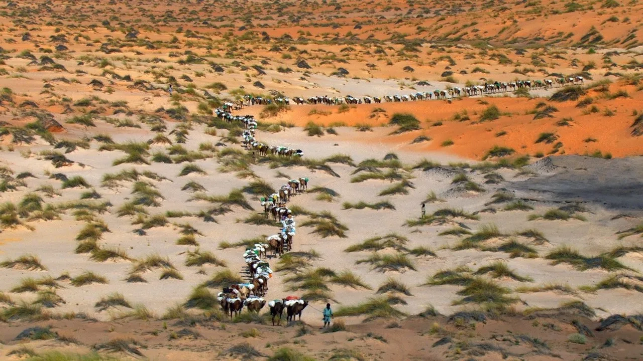 مستند خانه (Home 2009)