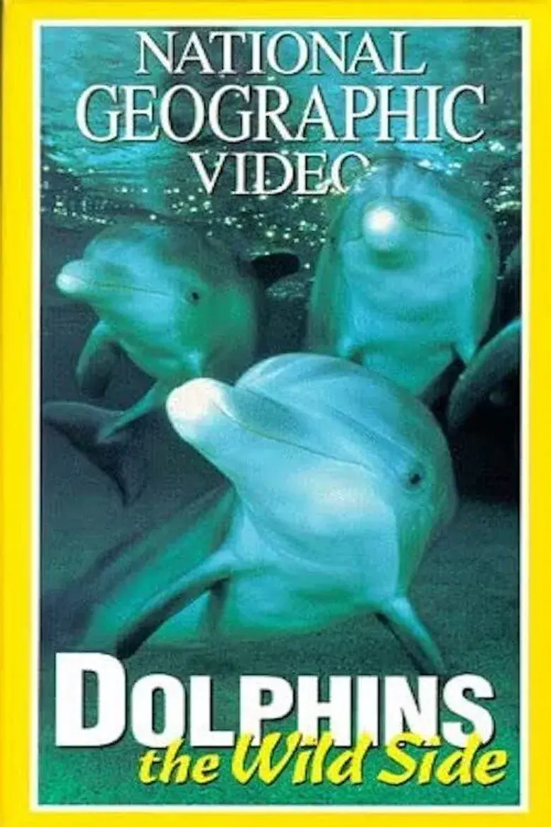 مستند دلفین های وحشی (Dolphins: The Wild Side 1999)