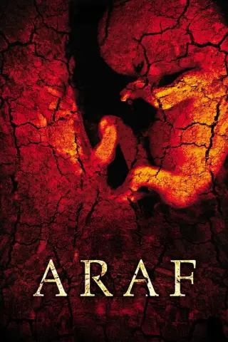 ترکی برزخ 2006