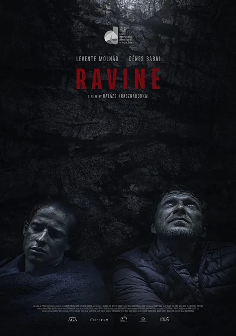 فیلم دره (Ravine 2021)