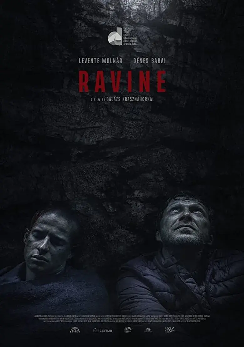 فیلم دره (Ravine 2021)