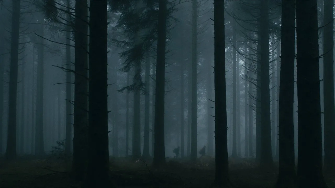 قلب تاریک جنگل