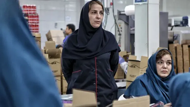 مسیر درخشان «تاجی» به سوی اسکار؛ حضور در جشنواره هالی‌شورتس