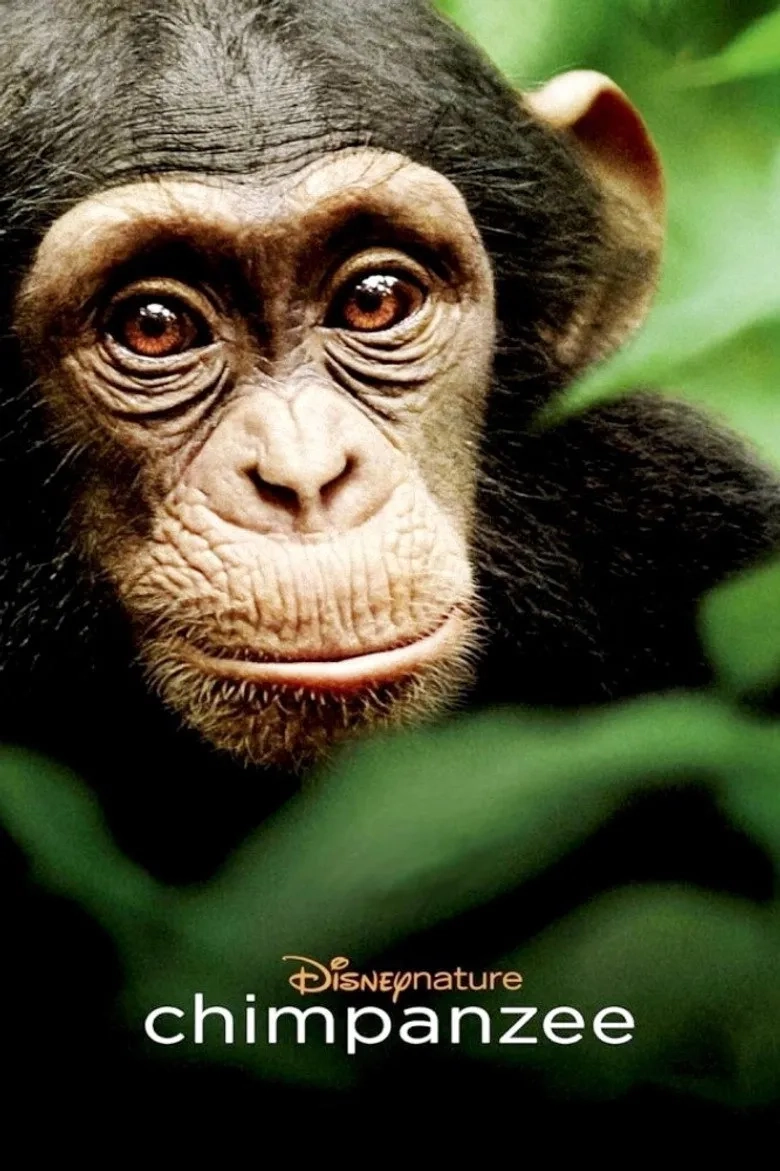 مستند شامپانزه (Chimpanzee 2011)