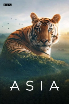 آسیا 2024