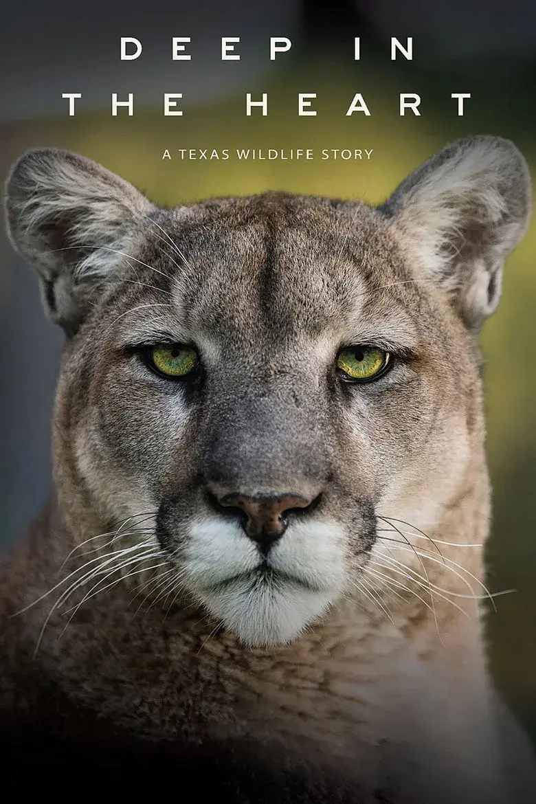 مستند اعماق قلب: داستان حیات وحش تگزاس (Deep in the Heart: A Texas Wildlife Story 2022)