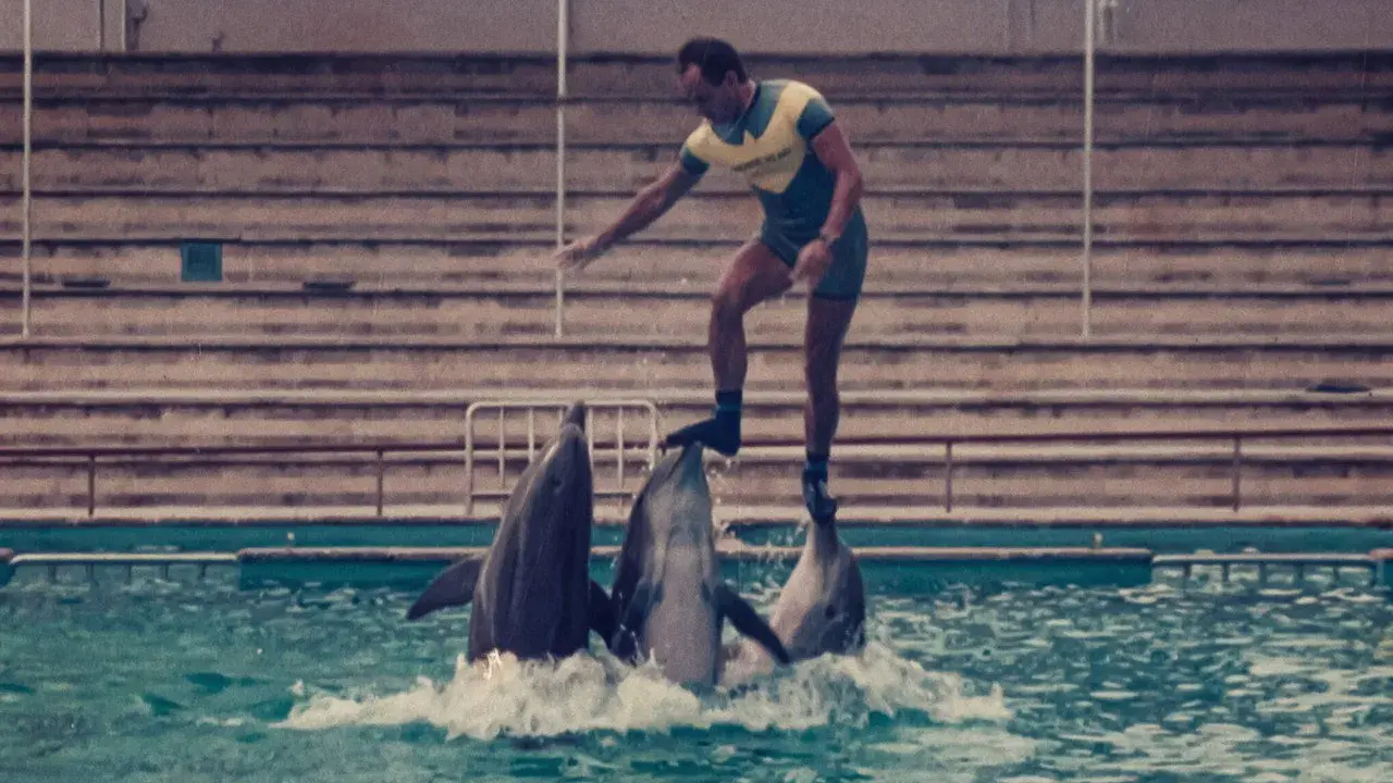 مستند آخرین پادشاه دلفین ها (The Last Dolphin King 2022)