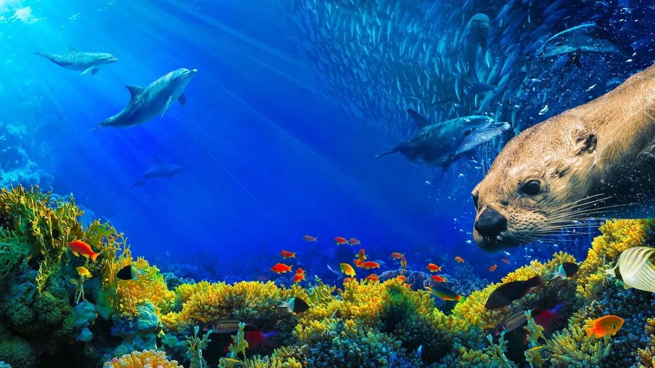 مستند اقیانوس‌ها: سیاره آبی ما (Oceans: Our Blue Planet 2018)