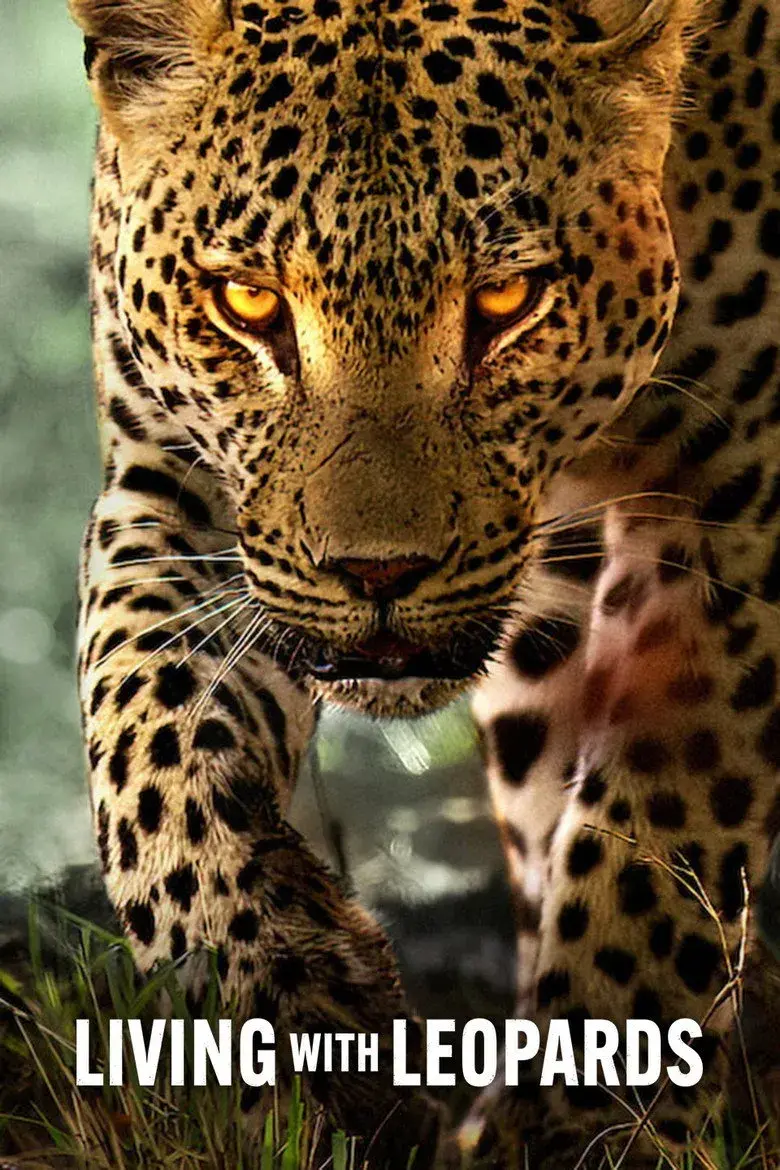 مستند زندگی با پلنگ‌ ها (Living with Leopards 2024)