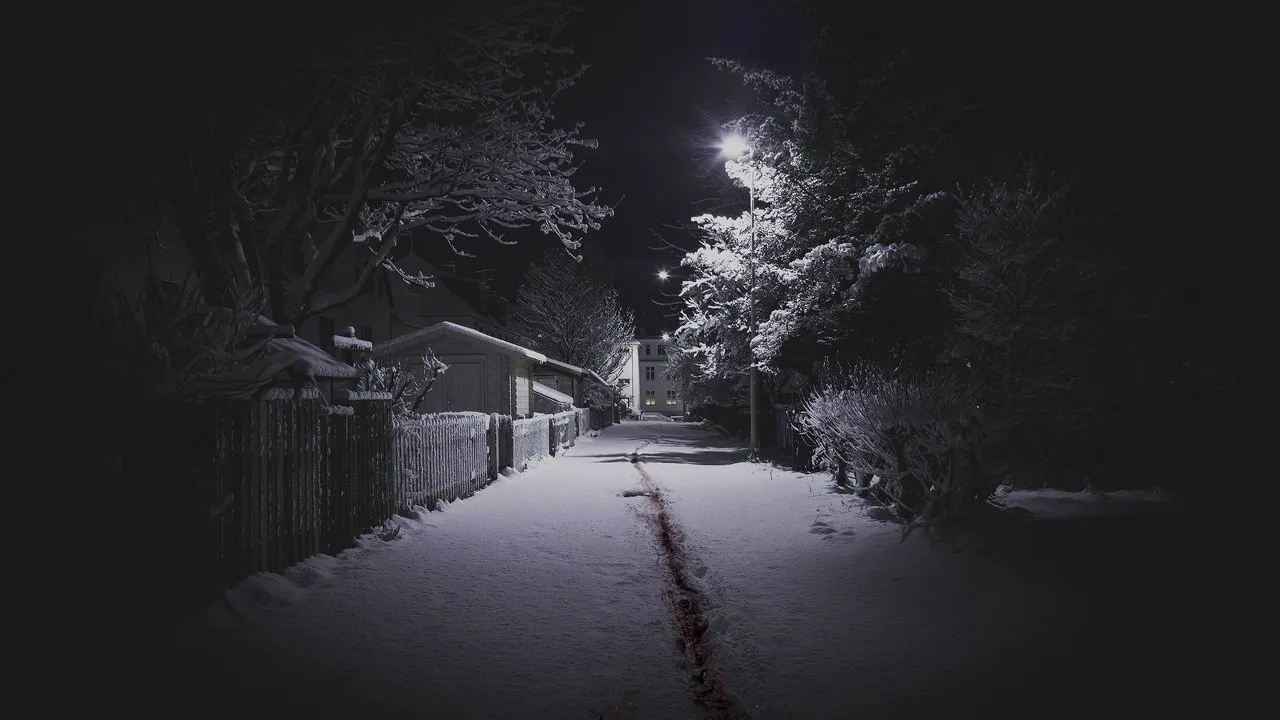 سریال قتل های والهالا (The Valhalla Murders 2019)