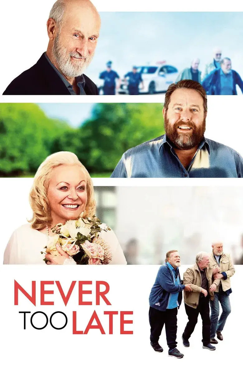 فیلم هیچ وقت خیلی دیر نیست (Never Too Late 2020)