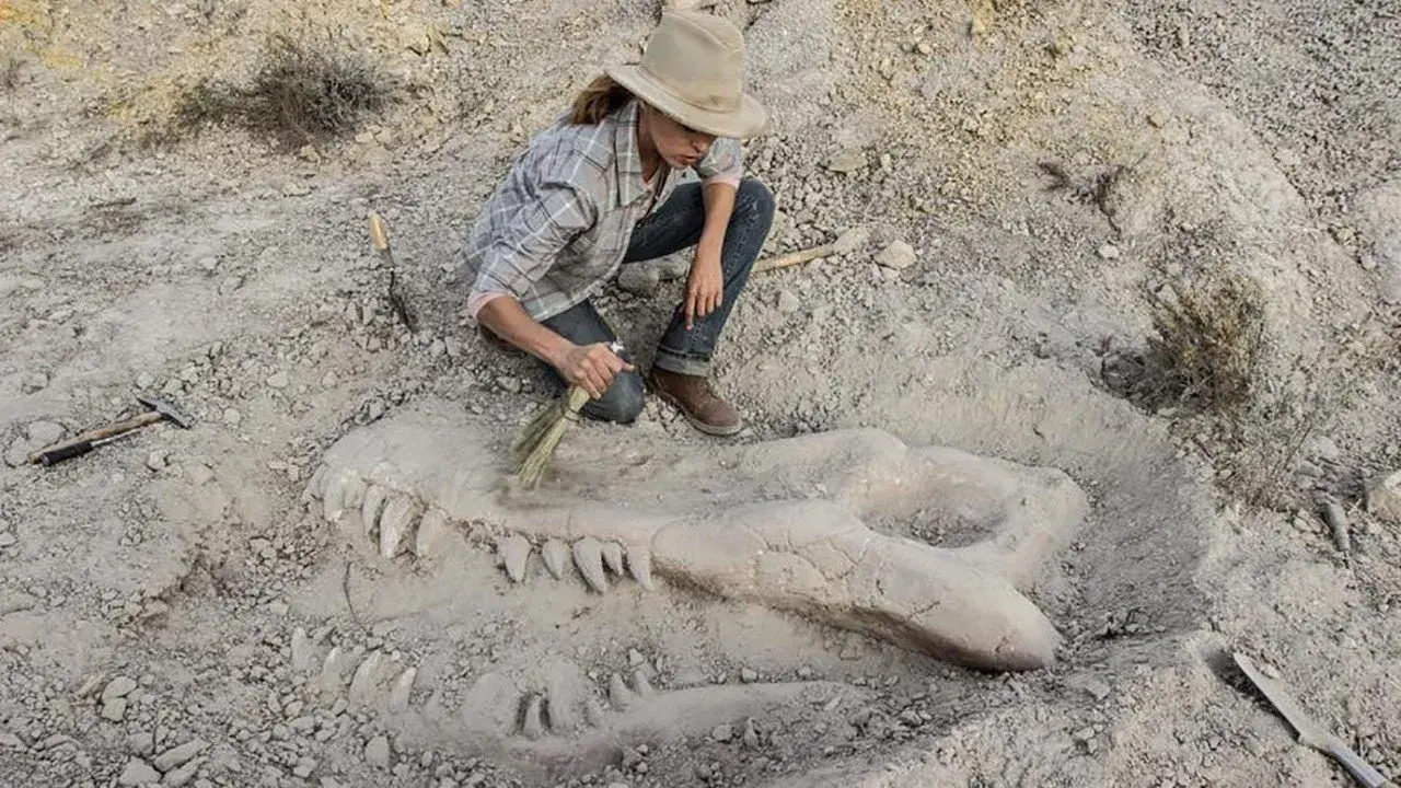 فیلم دره استخوان ها (Valley of Bones 2017)