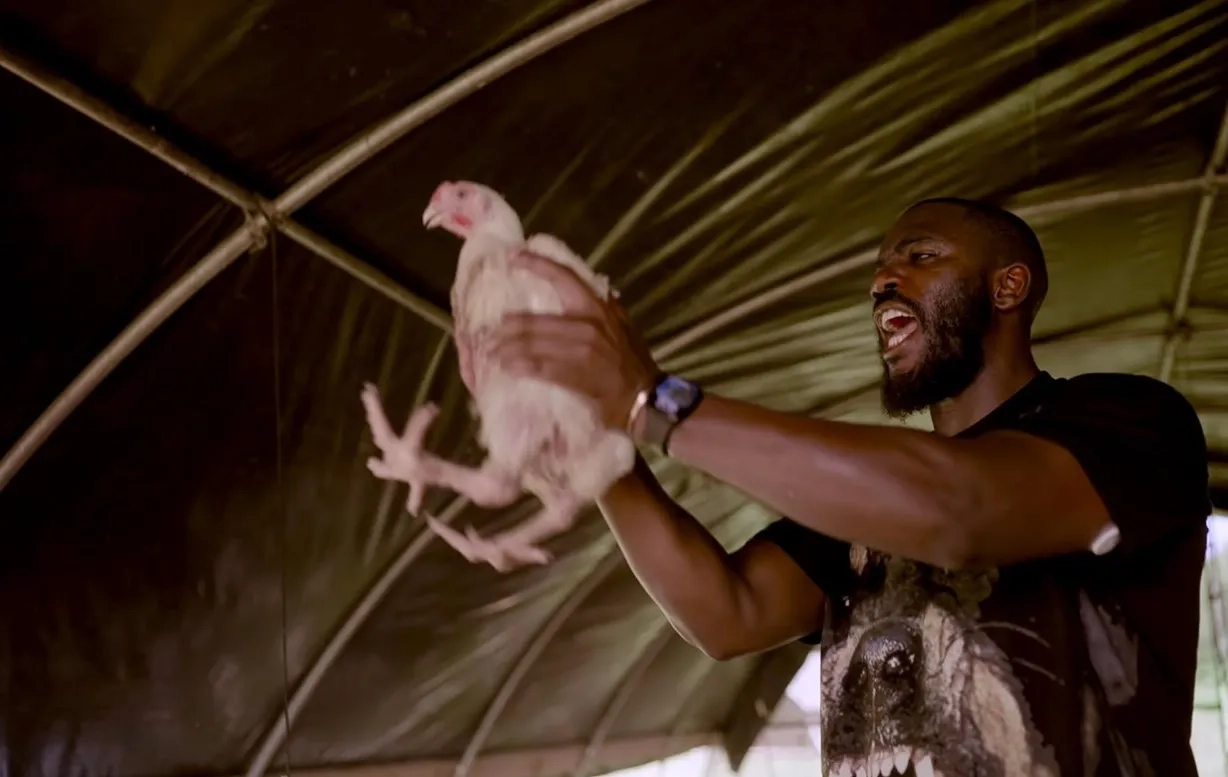 مستند مرغ بزرگ: یک توطئه فست فودی (Big Chicken: A Fast Food Conspiracy 2026)