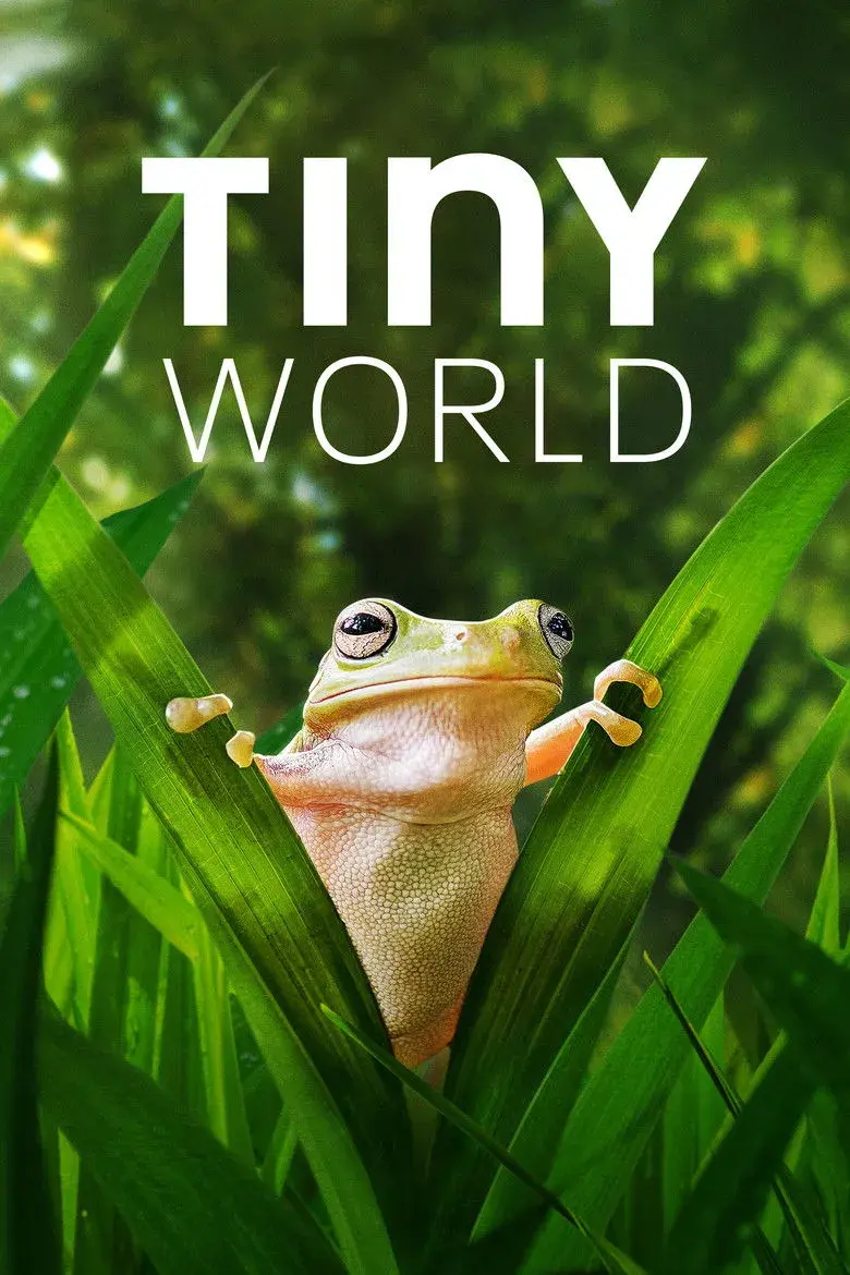 مستند دنیای کوچک (Tiny World 2020)