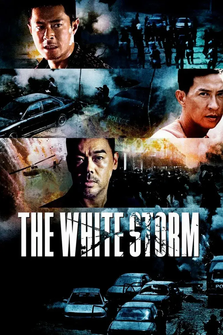 فیلم چینی طوفان سفید (The White Storm 2013)