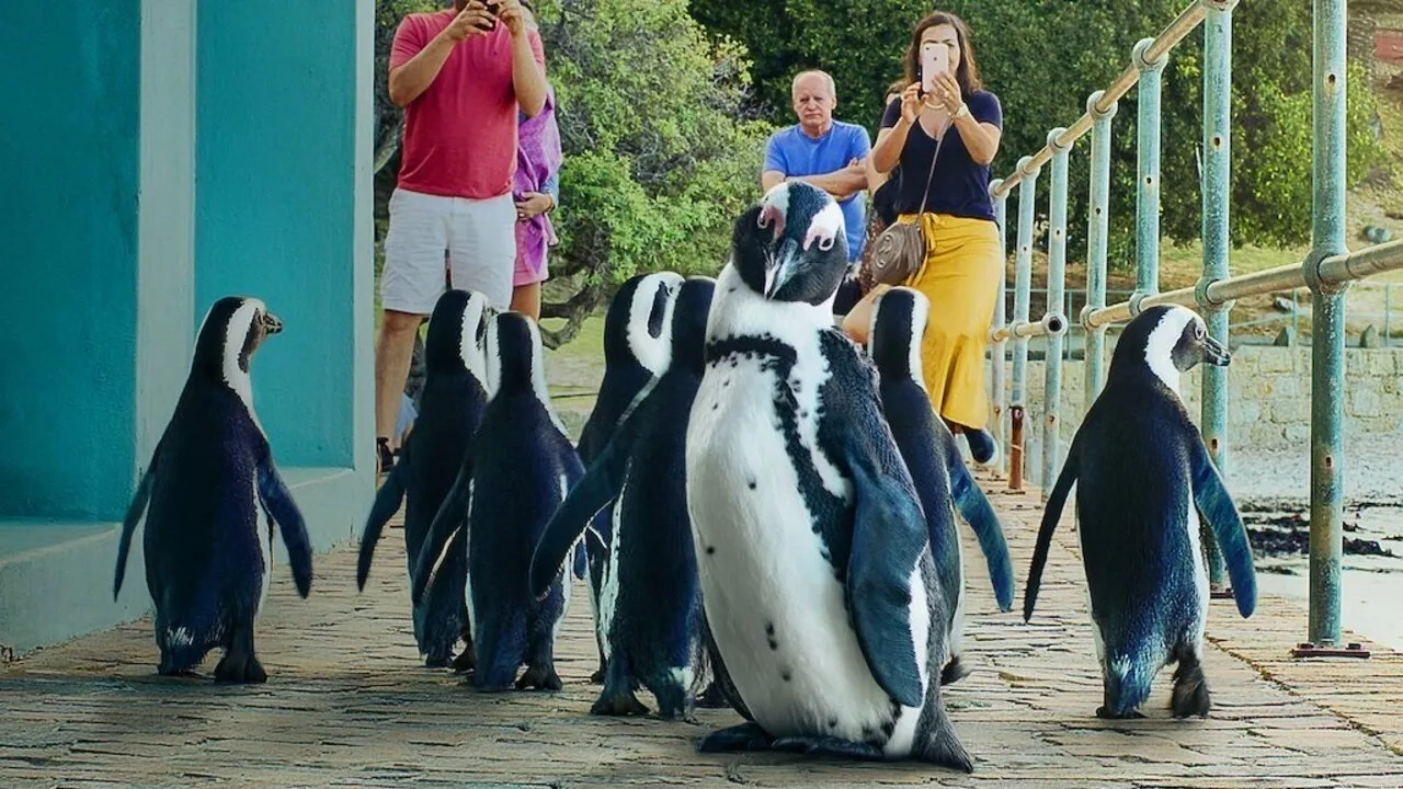 مستند سریالی شهر پنگوئنی (Penguin Town 2021)