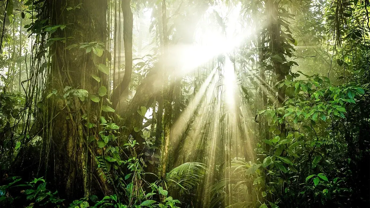 مستند سریالی سیاره سبز (The Green Planet 2022)