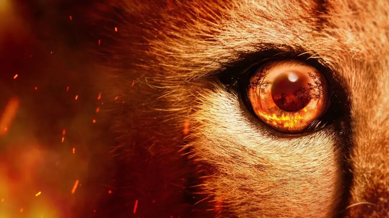 مستند سریالی شکارچیان (Predators 2022)
