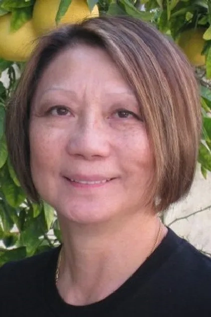 میسی هوی