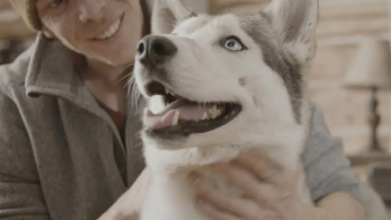 فیلم سال سگ (The Year of the Dog 2022)