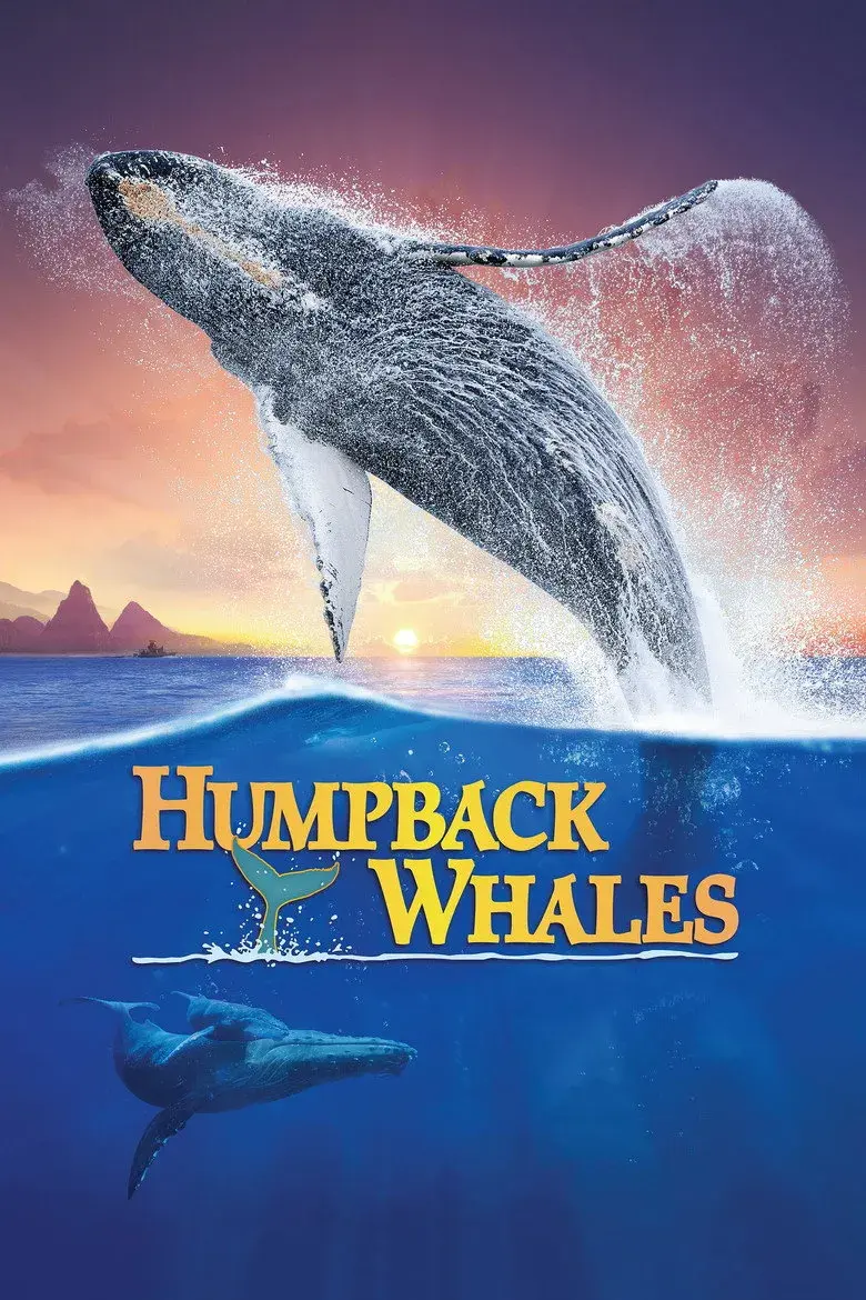 مستند نهنگ‌های گوژپشت (Humpback Whales 2015)