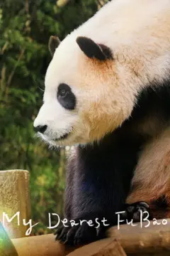 عزیزترین فو بائو