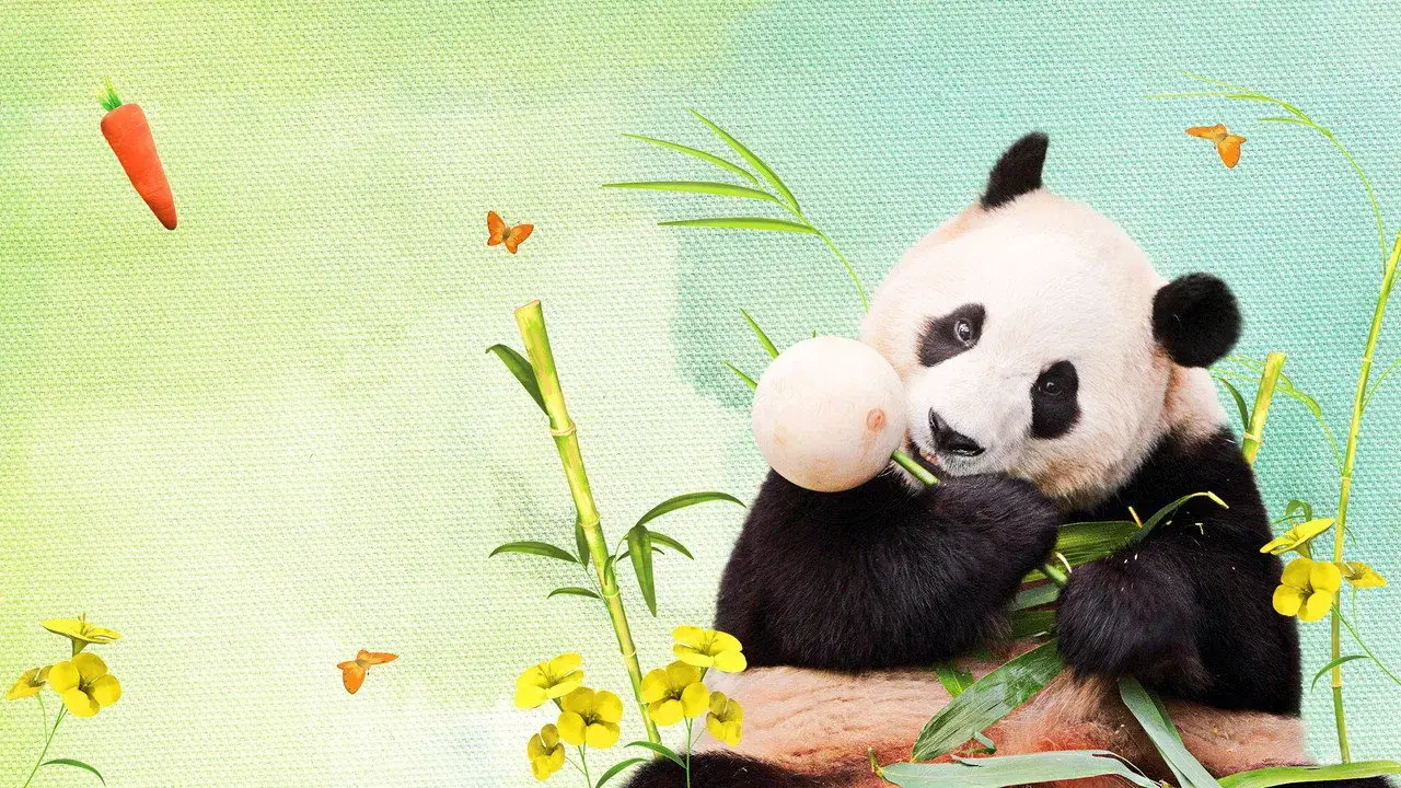 مستند عزیزترینم فو بائو (My Dearest Fu Bao 2024)