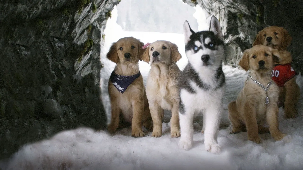فیلم مسابقه برفی (Snow Buddies 2008)