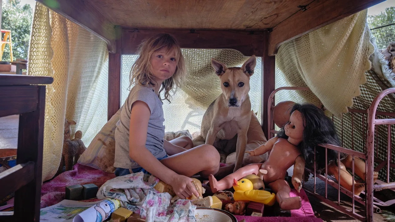 فیلم امشب به تباهی کشیده نخواهیم شد (Don't Let's Go to the Dogs Tonight 2024)