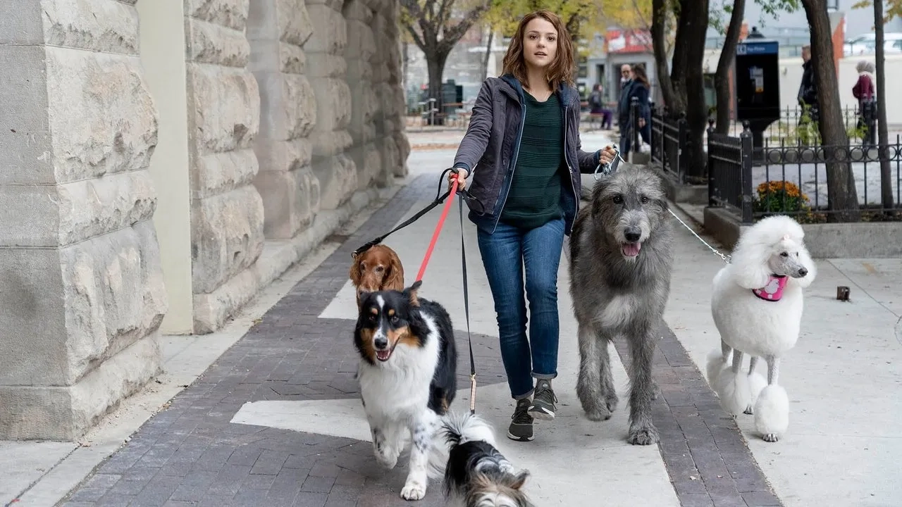 فیلم سفر یک سگ (A Dog's Journey 2019)