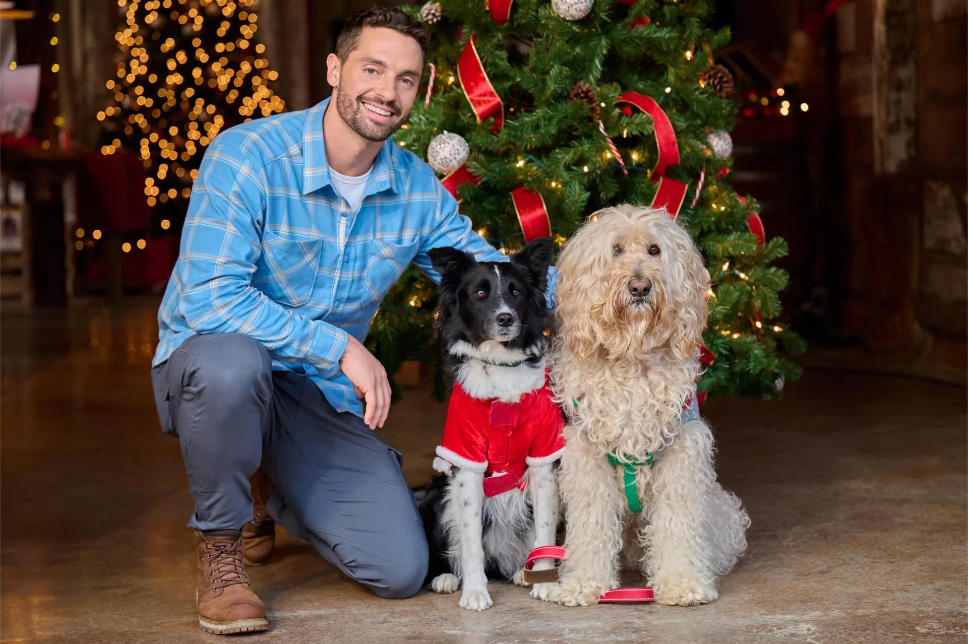 سال نو هاپوها مبارک