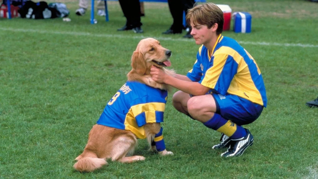 فیلم ایر باد: توله سگ جهانی (Air Bud: World Pup 2003)